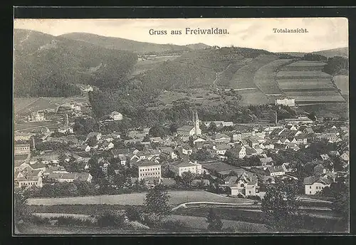 AK Freiwaldau, Totalansicht der Stadt