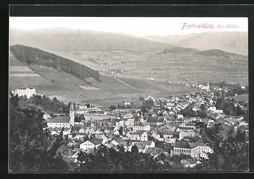 AK Freiwaldau, Panorama der Stadt mit Kirche