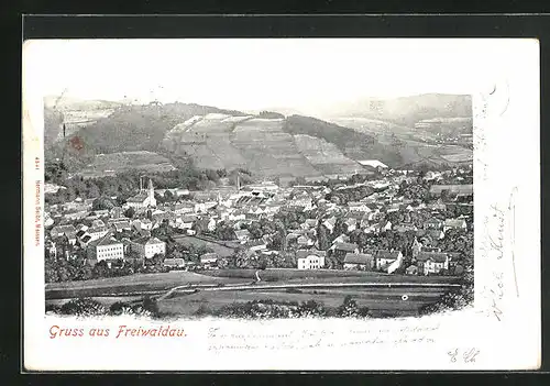 AK Freiwaldau, Blick über die Stadt