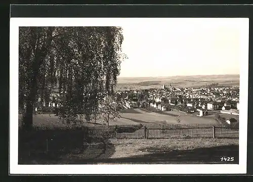 AK Mähr.-Schönberg, Blick über die Stadt