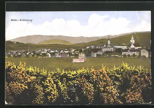 AK Mähr.-Schönberg, Blick vom Wald aus