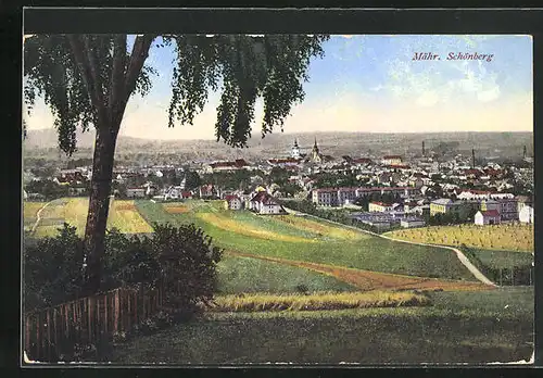 AK Mähr.-Schönberg, Felder am Stadtrand