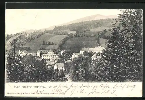 AK Bad Gräfenberg, Blick vom Waldrand auf Gebäude