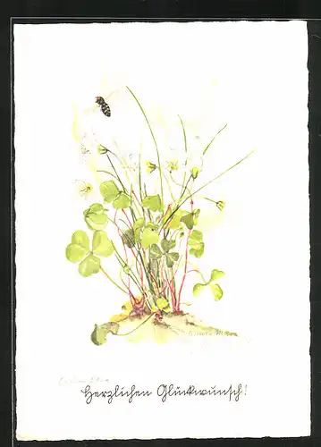 Künstler-AK Schwarz-Torino: Biene an blühenden weissen Blumen