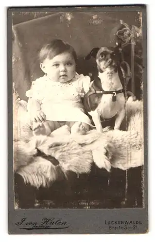 Fotografie J. von Halen, Luckenwalde, Breite-Str. 21, Portrait dickes Kleinkind mit kleinem Hund auf einem Fell