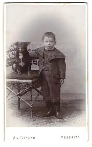 Fotografie Ad. Fischer, Meseritz, Portrait junger Knabe im Anzug streichelt seinen Hund auf einem Stuhl