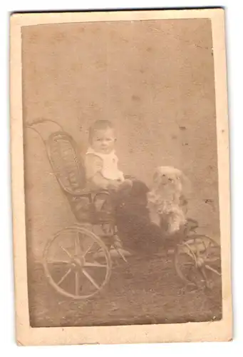 Fotografie unbekannter Fotograf und Ort, Portrait Kleinkind im Kinderwagen mit Hund