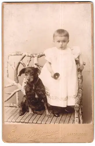 Fotografie Eugen Willenius, Gardelegen, Portrait Kleinkind im Kleidchen mit schwarzen Hund auf einer Bank