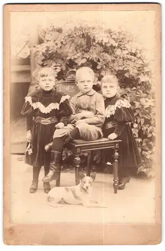 Fotografie unbekannter Fotograf und Ort, Portrait drei Kinder in Samkleidern und Anzug mit jungem Hund