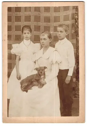 Fotografie unbekannter Fotograf und Ort, Portrait drei Kinder in heller Kleidung mit Hund auf dem Schoss