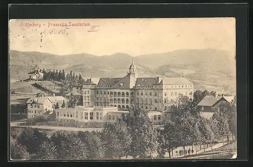 AK Gräfenberg, Ansicht des Priessnitz Sanatoriums