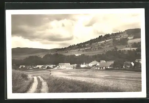 AK Dolni Domasov, Ortsansicht mit Wiese