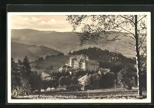 AK Freiwaldau-Gräfenberg /Priessnitz, Panorama