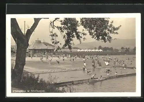 AK M.-Schönberg, Strandbad und Baum