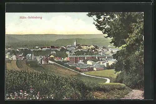 AK Mähr.-Schönberg, Panorama