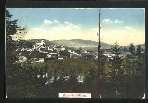 AK Mähr.-Schönberg, Panorama