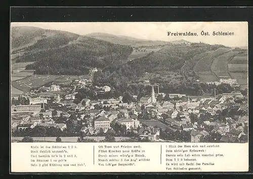 AK Freiwaldau, Panorama der Stadt mit Gedicht