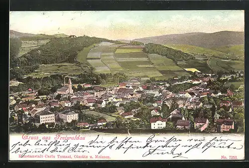 AK Freiwaldau, Panorama der Stadt mit Kirche