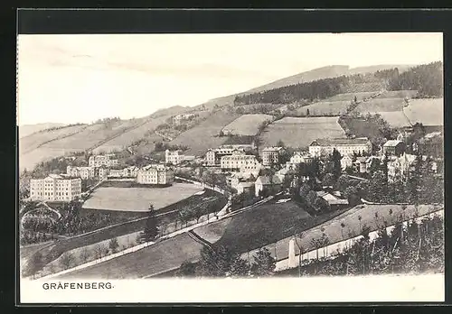 AK Gräfenberg, Blick über die Stadt mit Feldern