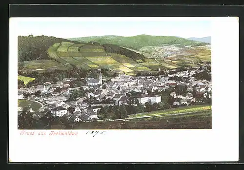 AK Freiwaldau, Stadt mit umliegenden Feldern