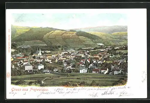 AK Freiwaldau, Panorama mit Gebirge
