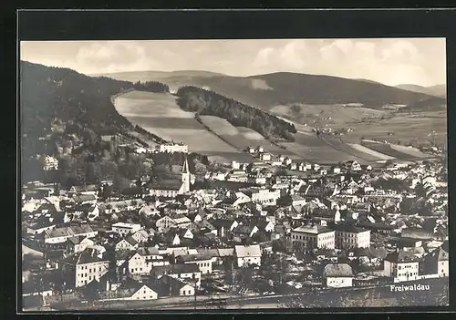 AK Freiwaldau, Totalansicht mit Gebirgslandschaft