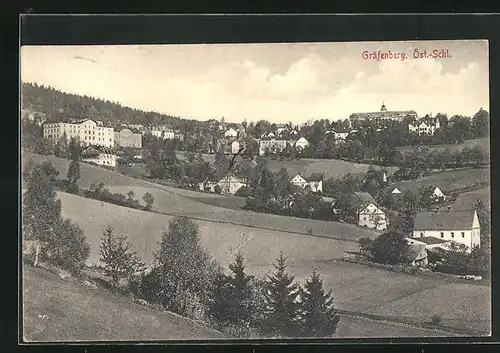 AK Gräfenberg, Ortsansicht von unten