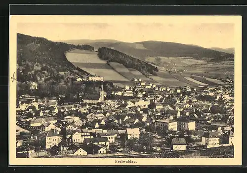 AK Freiwaldau, Totalansicht der Stadt mit Kirche