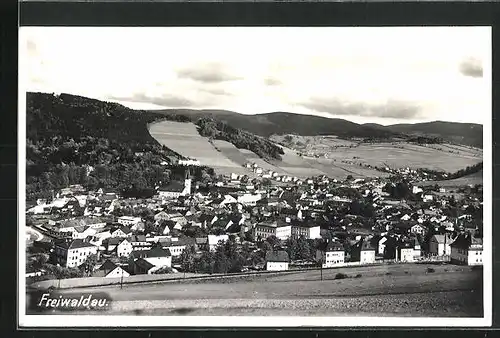 AK Freiwaldau, Panorama der Stadt
