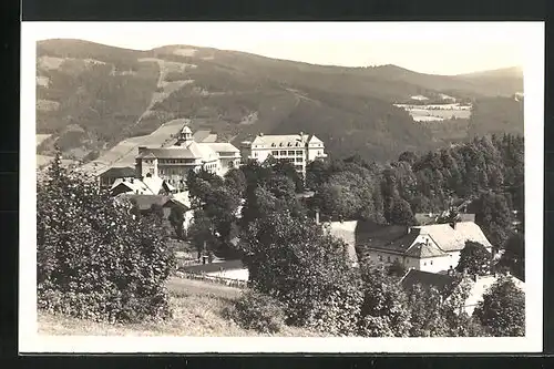 AK Bad Gräfenberg bei Freiwaldau, Häuser und Wald