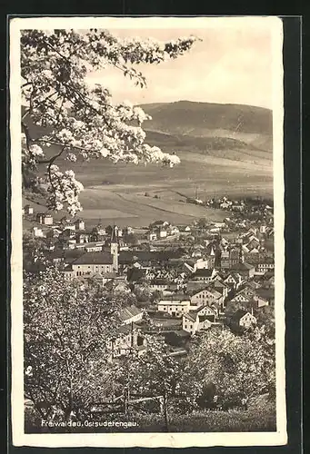 AK Freiwaldau, Blick von Wanderweg auf Stadt