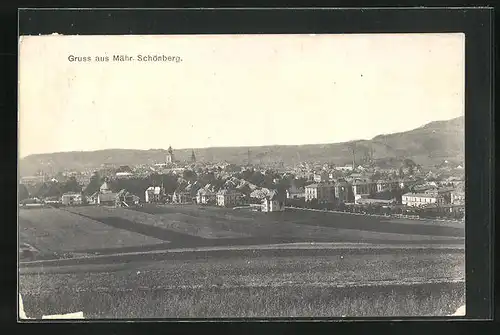 AK Mähr. Schönberg, Panorama