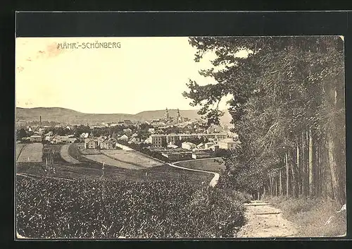 AK Mähr. Schönberg, Strasse in den Ort