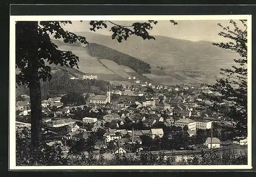 AK Freiwaldau, Totalansicht von Berg aus