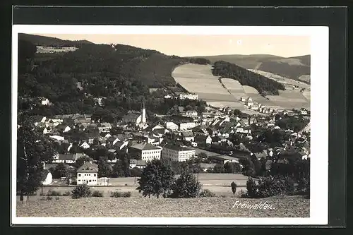 AK Freiwaldau, Ortsansicht mit Kirche