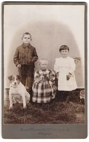 Fotografie Henzi Niewerth, Wittingen i. H., Kinder mit Hund Terrier