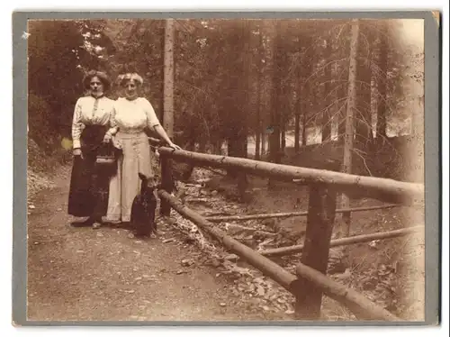 Fotografie unbekannter Fotograf und Ort, Damen beim Waldspaziergang mit Hund