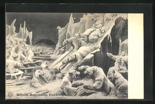 AK Willhelm Hagenbecks Eisbärengruppe