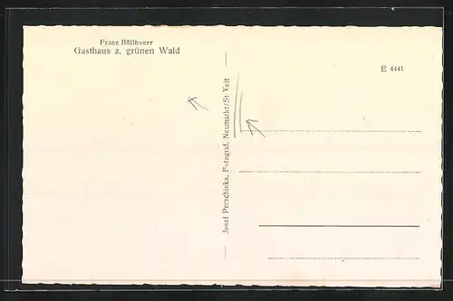 AK Neumarkt - St. Veit, Gasthaus z. grünen Wald Franz Höllbauer