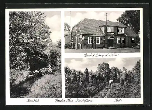 AK Dedelstorf, Gasthof zum Grossen Kain, Heide, Kainbach