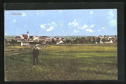 AK Ledenice, Blick von Wiese auf Ort