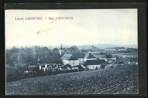 AK Bad Libnitsch, Aussicht vom Feld aus auf den Ort