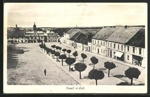 AK Veseli n. Luz, Blick auf Bäume auf dem Platz im Ort