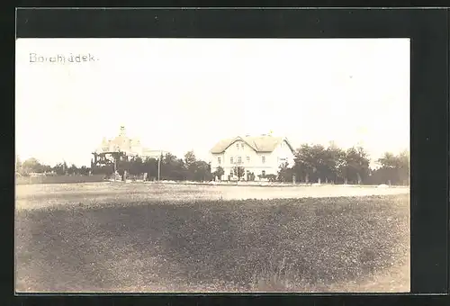 Foto-AK Bohroradek, Villen am Feld