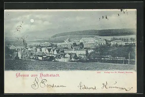 Mondschein-AK Halbstadt, Panorama der Stadt