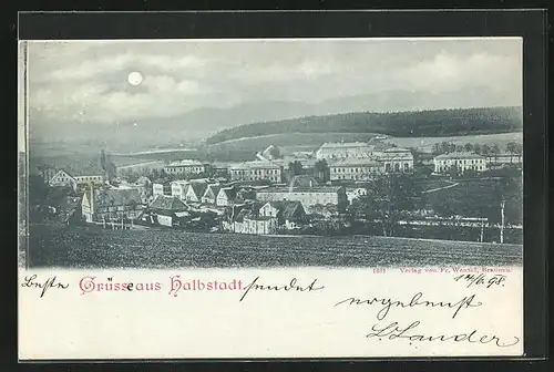 Mondschein-AK Halbstadt, Panorama der Stadt bei Nacht