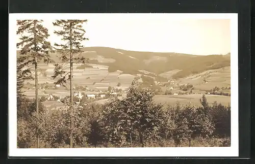 AK Deschnei-Hinterwinkel, Fernsicht von Wiederdris