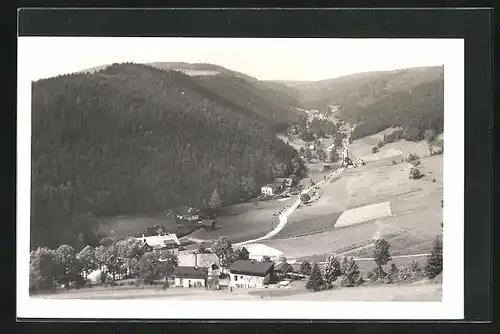 AK Zákoutí v Orl. Horách, Totalansicht des Ortes mit Wald