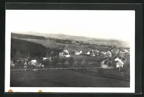 AK Rokitnitz / Rokytnice v Orlickych Horach, Hauptstrasse durch den Ort