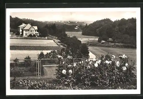 AK Böhmisch-Skalitz, Pohled do Babiccina udoli